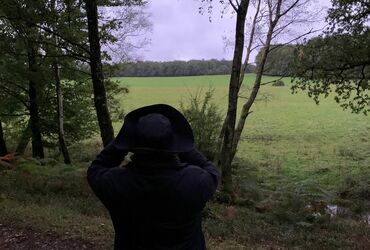 VENEZ PARTAGER UN MOMENT MAGIQUE, LE BRÂME DU CERF !